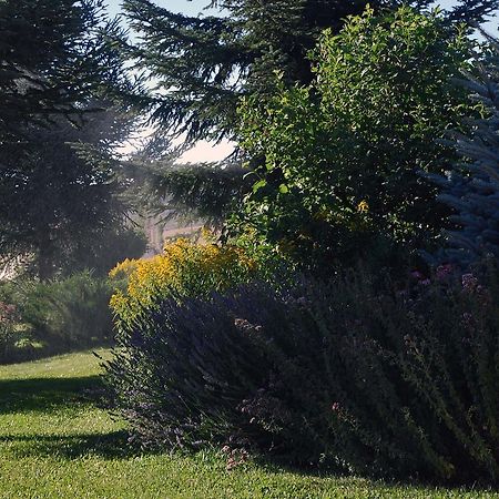 Hotel Biosostenible Jardin Del Rio Cuervo Vega del Cadorno Exteriér fotografie